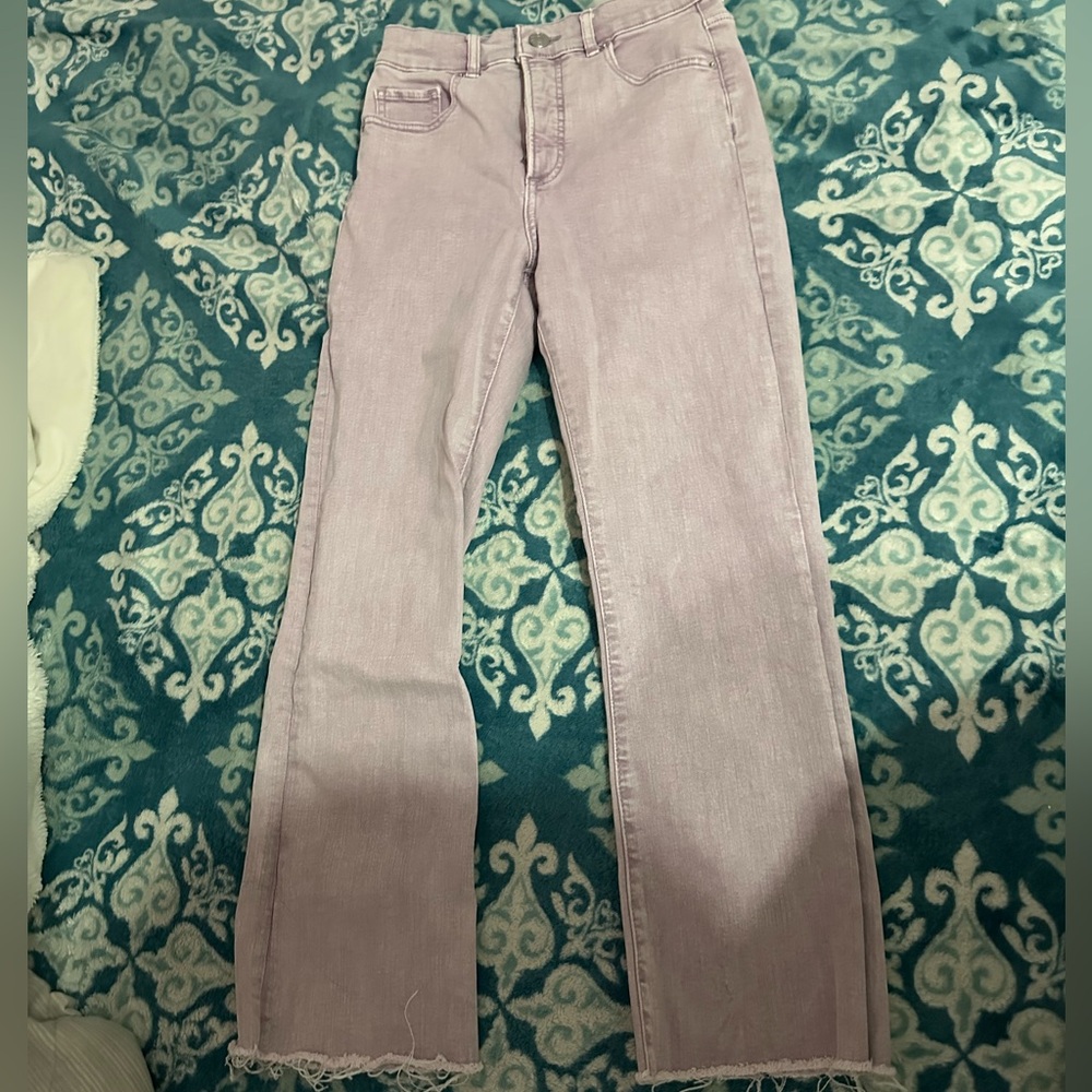 Express Purple Flare Jeans